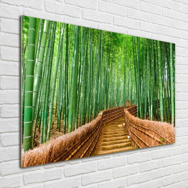 Printed glass wall art Bamboo forest