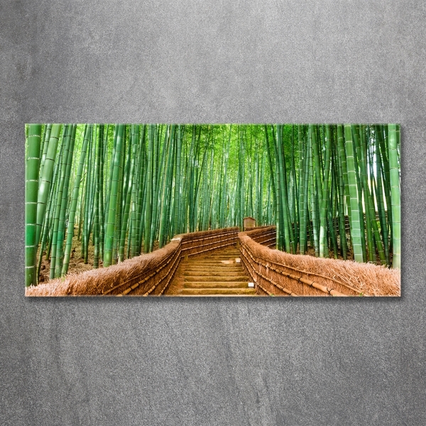 Printed glass wall art Bamboo forest