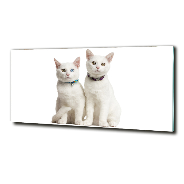 Glass wall art White cats