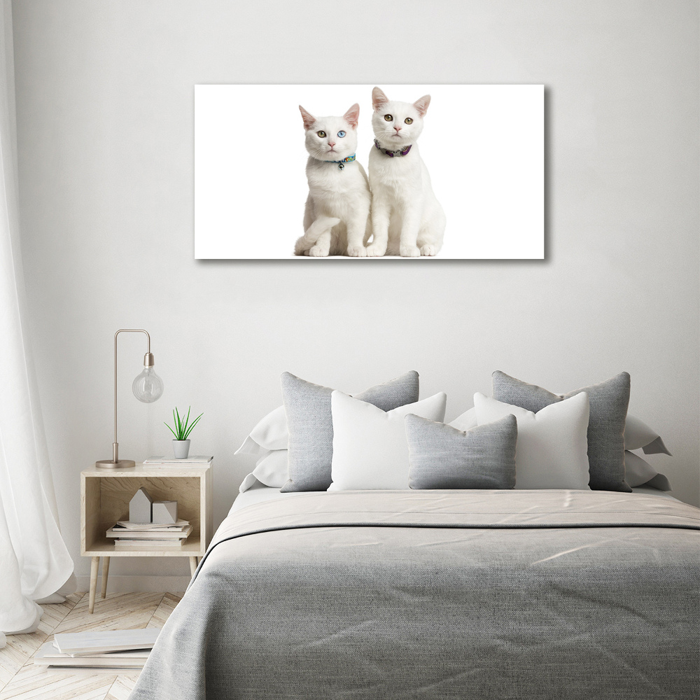 Glass wall art White cats