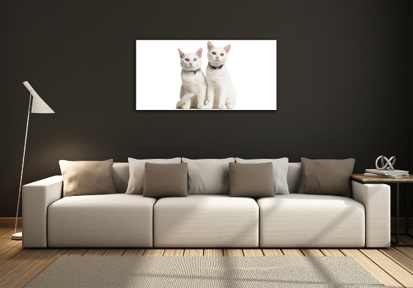 Glass wall art White cats