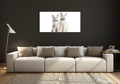 Glass wall art White cats