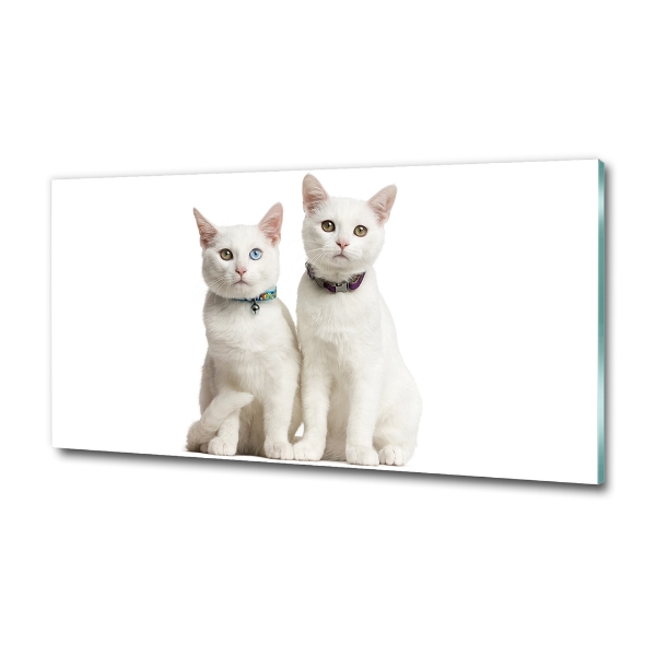 Glass wall art White cats