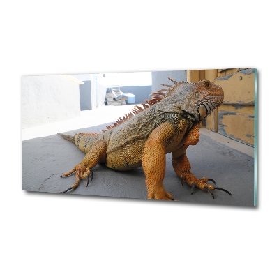 Wall art on glass Iguana