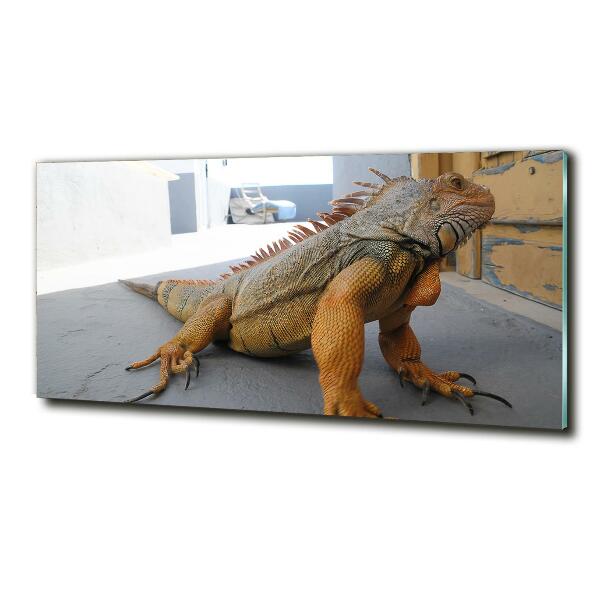 Wall art on glass Iguana