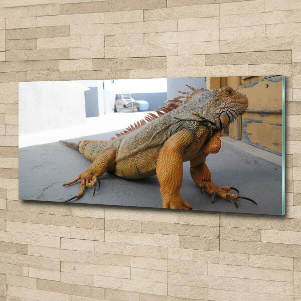 Wall art on glass Iguana