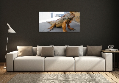 Wall art on glass Iguana