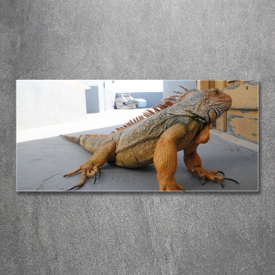 Wall art on glass Iguana