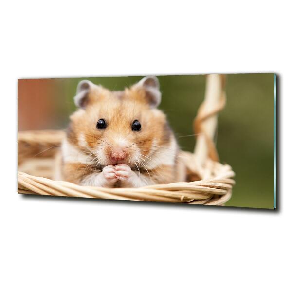 Glass wall art Hamster in the basket