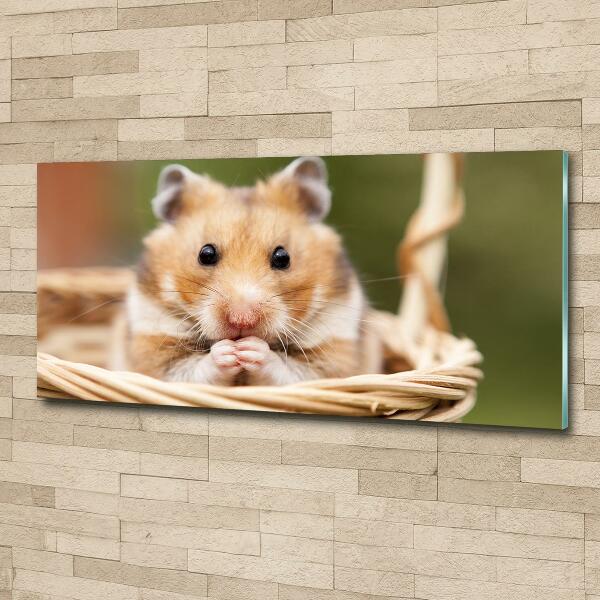 Glass wall art Hamster in the basket