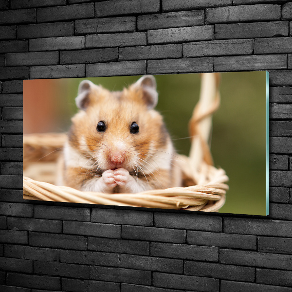 Glass wall art Hamster in the basket