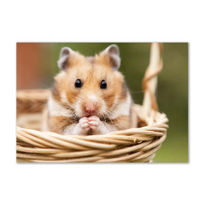 Glass wall art Hamster in the basket