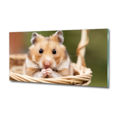 Glass wall art Hamster in the basket