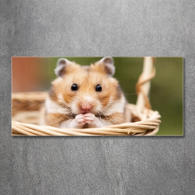 Glass wall art Hamster in the basket