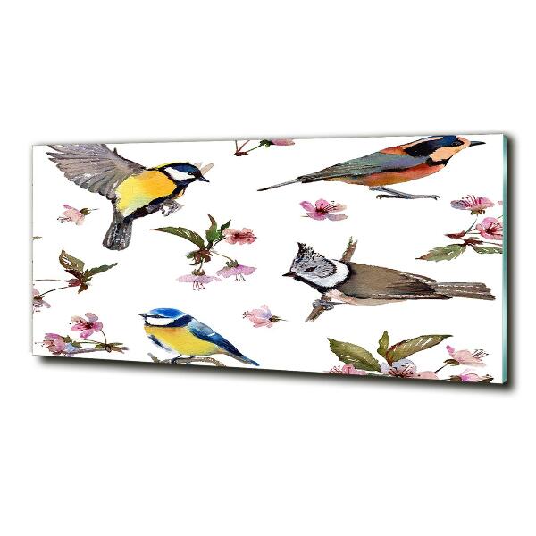 Glass picture wall art Birds cherry flowers