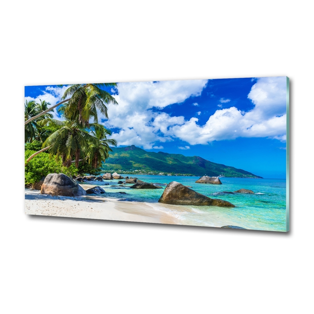 Printed glass wall art Seychelles beach