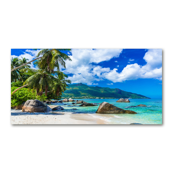 Printed glass wall art Seychelles beach