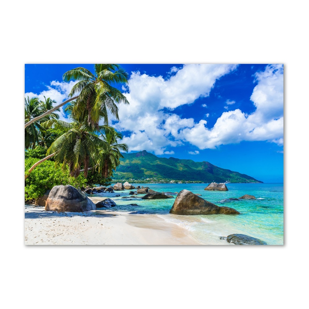 Printed glass wall art Seychelles beach