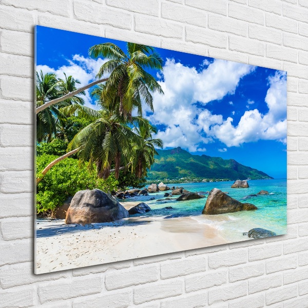 Printed glass wall art Seychelles beach