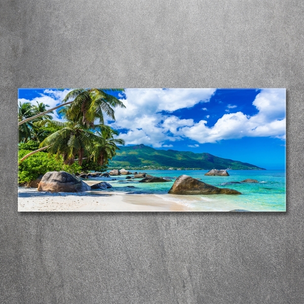 Printed glass wall art Seychelles beach