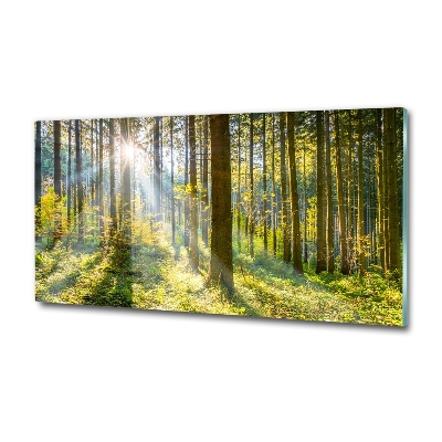 Printed glass wall art Forest in the sun