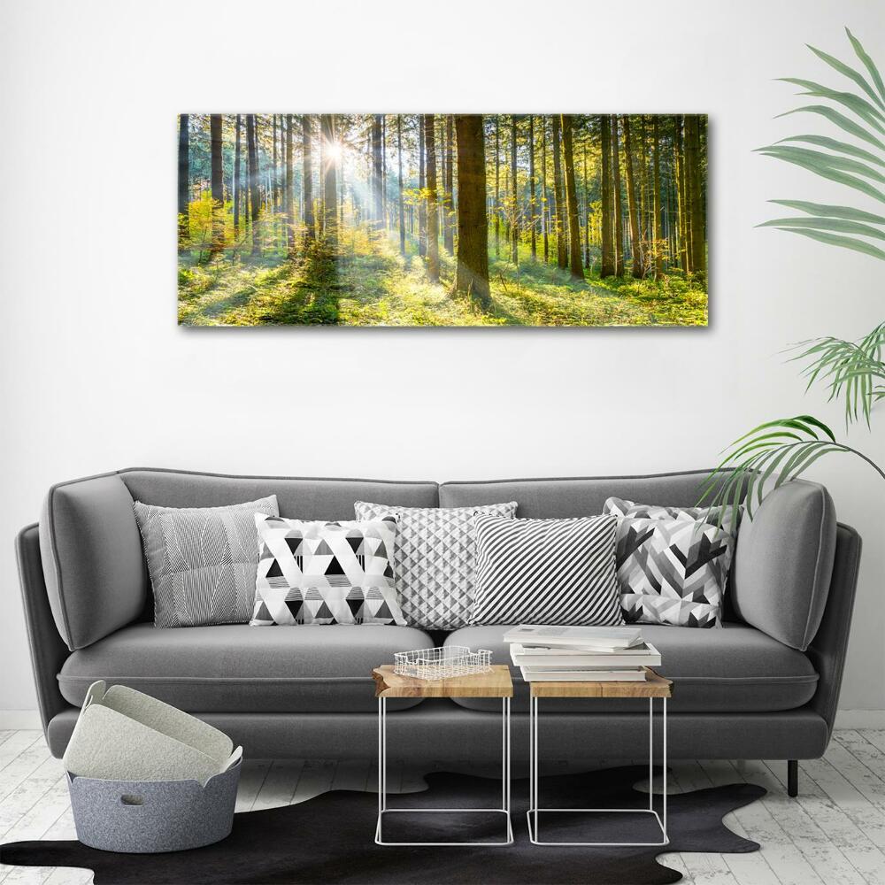 Printed glass wall art Forest in the sun