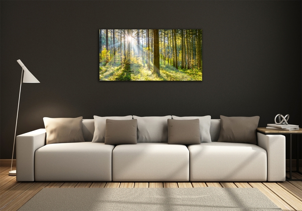 Printed glass wall art Forest in the sun