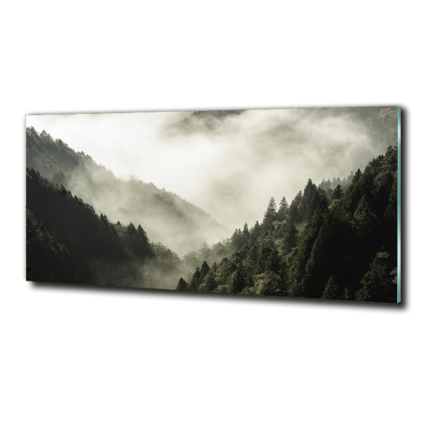 Glass wall art large Fog over the forest