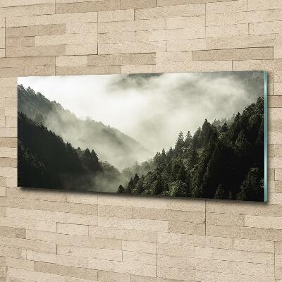 Glass wall art large Fog over the forest