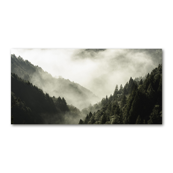 Glass wall art large Fog over the forest