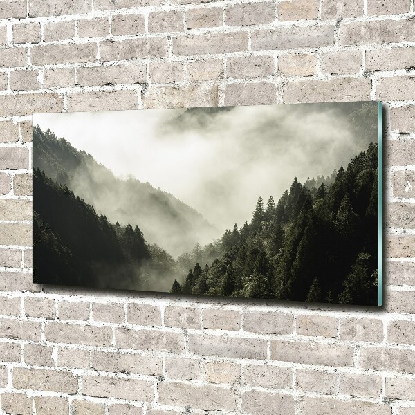 Glass wall art large Fog over the forest