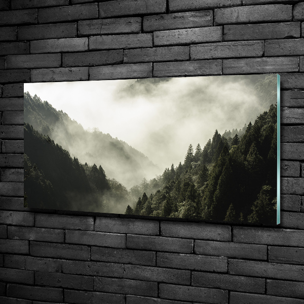 Glass wall art large Fog over the forest