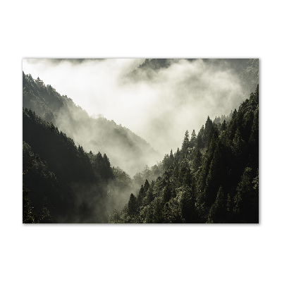 Glass wall art large Fog over the forest