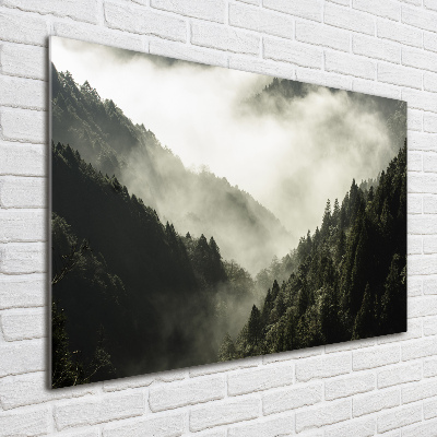 Glass wall art large Fog over the forest