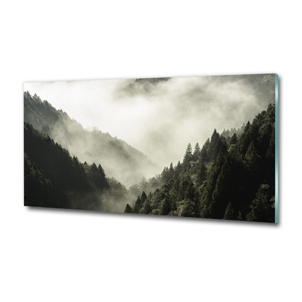 Glass wall art large Fog over the forest