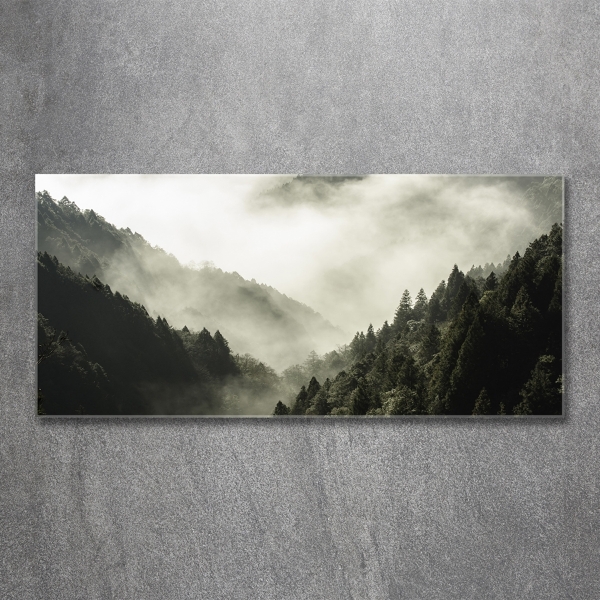 Glass wall art large Fog over the forest