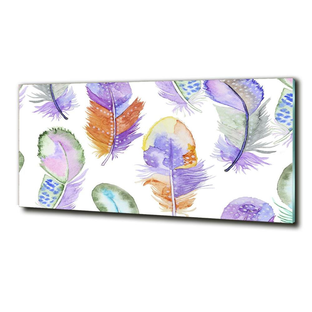 Glass wall art Colorful feathers