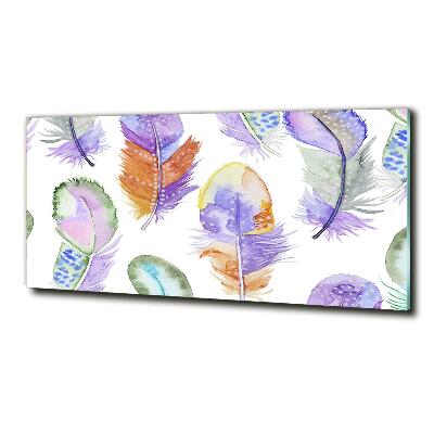 Glass wall art Colorful feathers