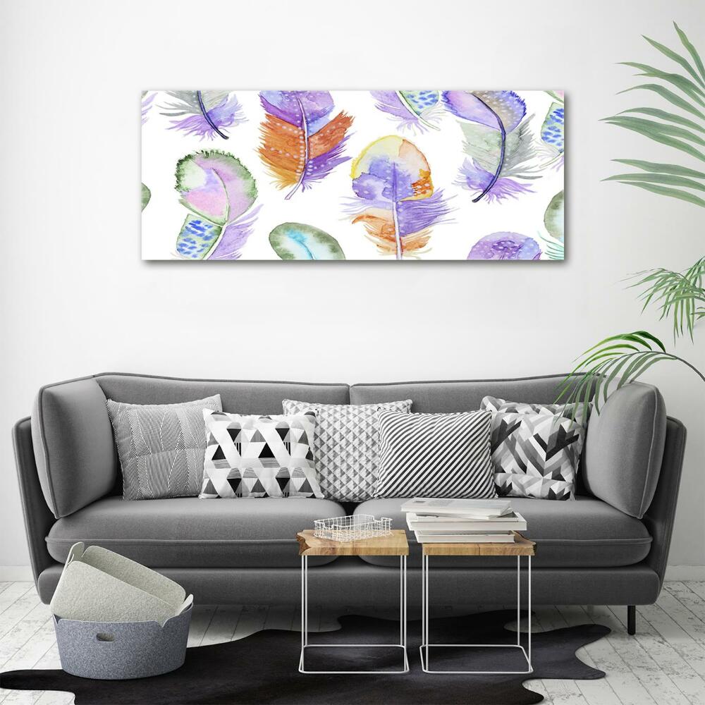 Glass wall art Colorful feathers