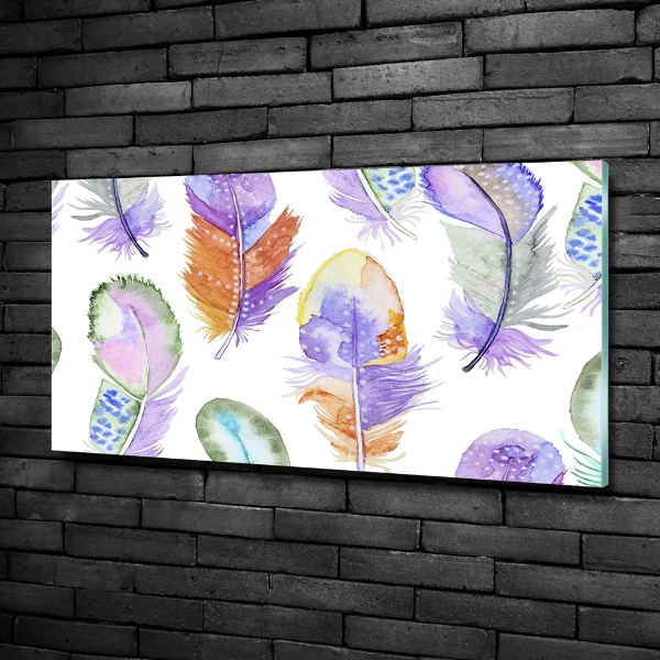 Glass wall art Colorful feathers