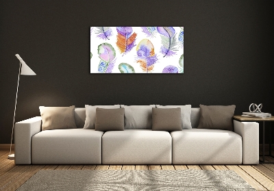 Glass wall art Colorful feathers