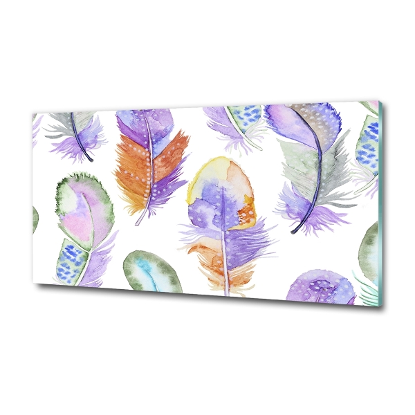 Glass wall art Colorful feathers