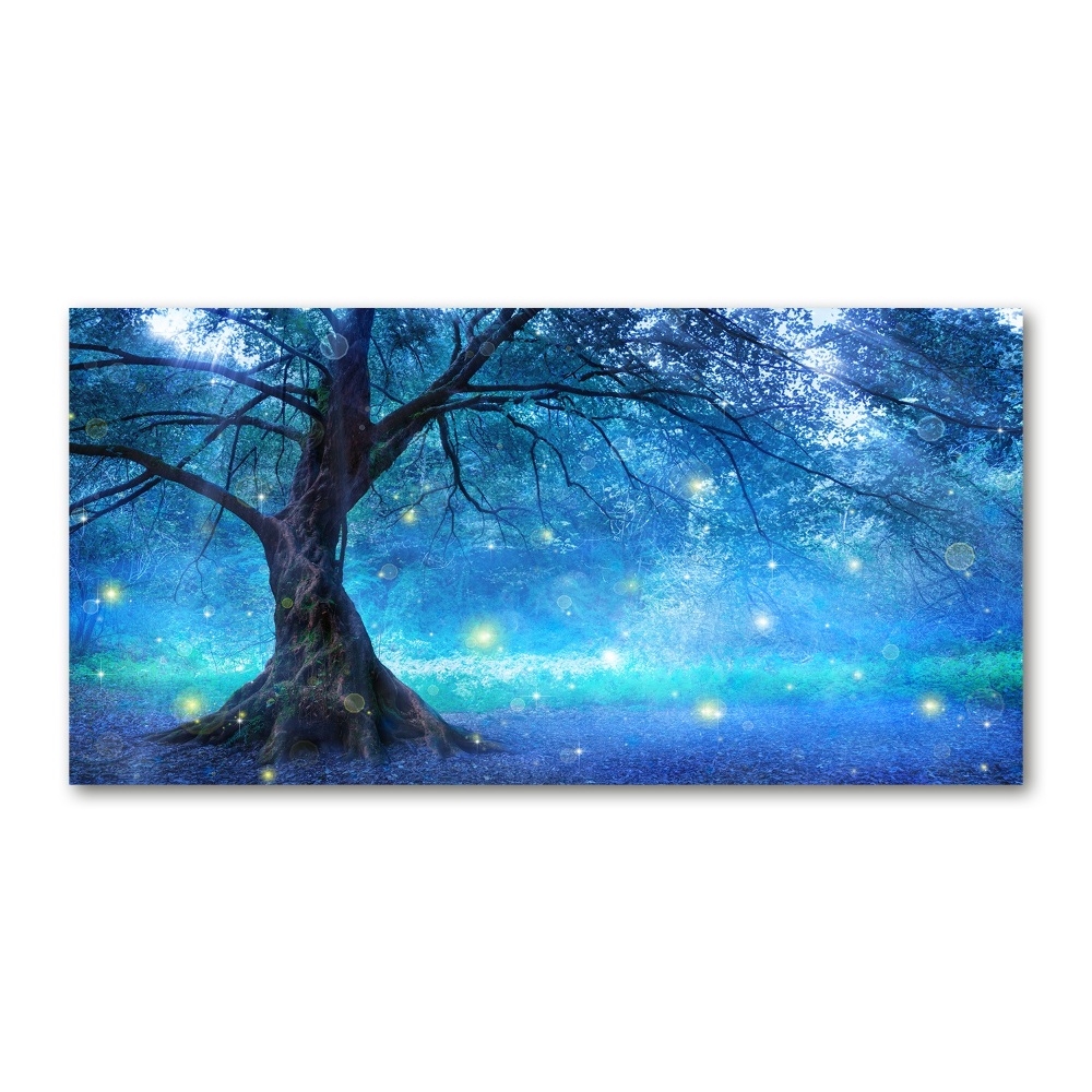 Glass wall art large Mysterious forest