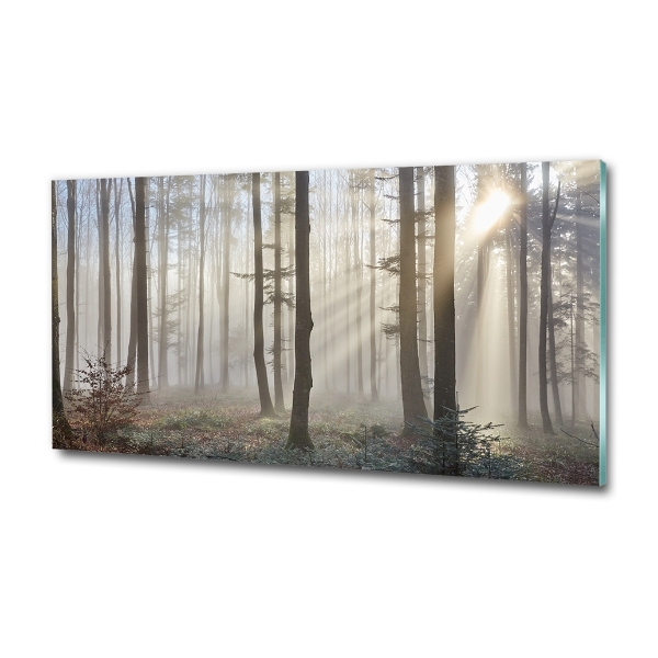 Glass wall art large Fog in the forest