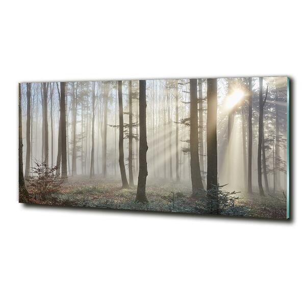 Glass wall art large Fog in the forest