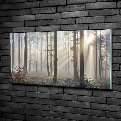 Glass wall art large Fog in the forest