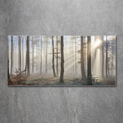 Glass wall art large Fog in the forest