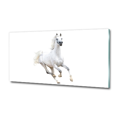 Wall art on glass White arabic horse