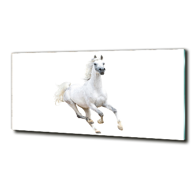 Wall art on glass White arabic horse