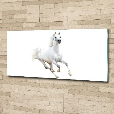 Wall art on glass White arabic horse